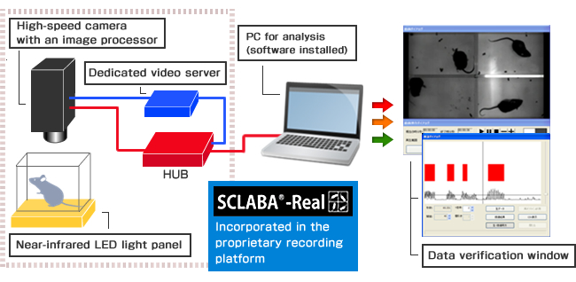 SCLABA®-Real system